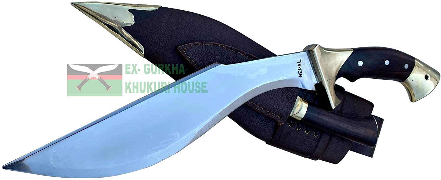 Hand Scourge 13