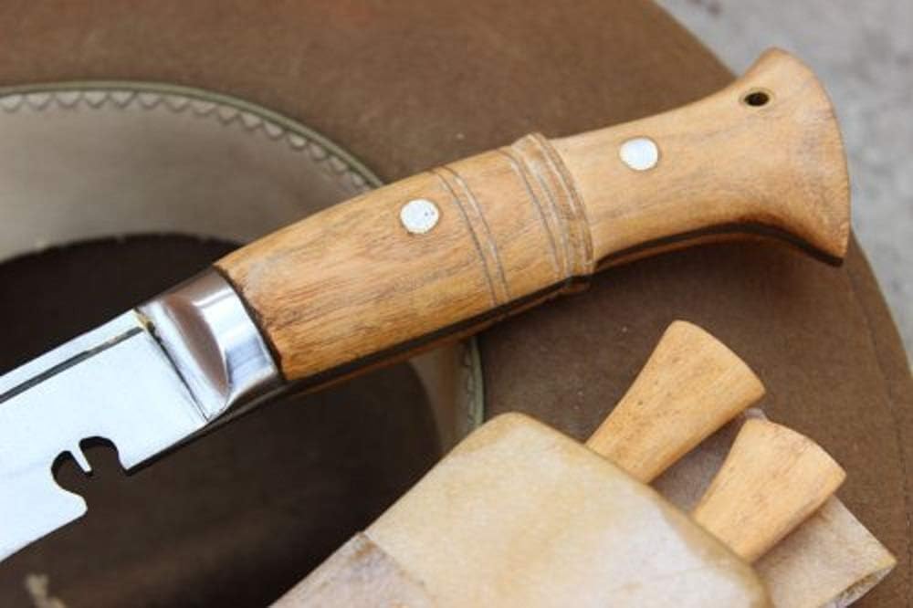 51qSm2NJtYL._AC_SL1000_