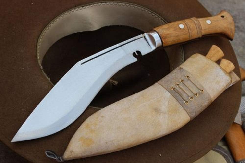 51uYEfoX9WL._AC_SL1000_