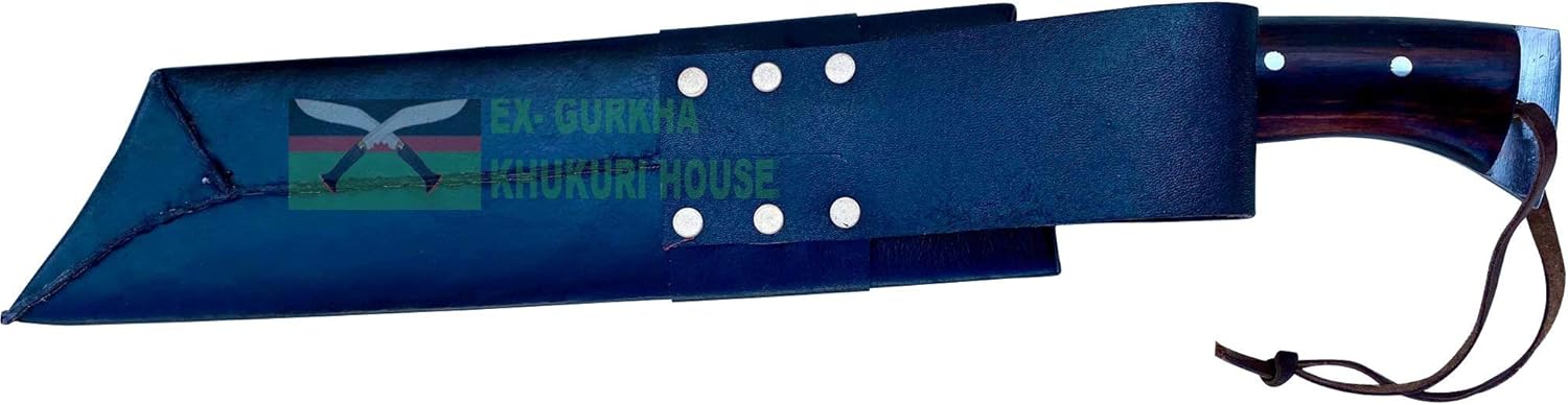 61OU7uDGu8L._AC_SL1500_