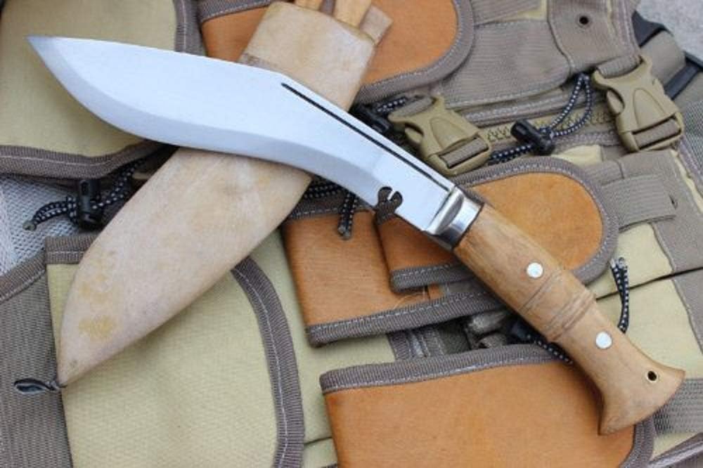 61QsabPQ3jL._AC_SL1000_