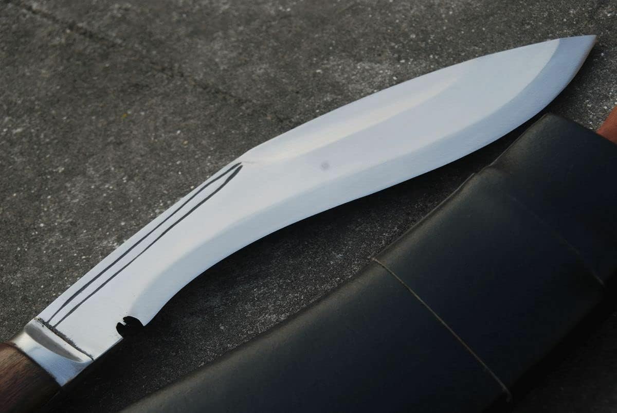 61wV2NVL4CL._AC_SL1200_