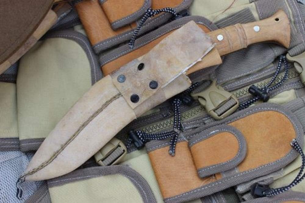 61zdIIWpYFL._AC_SL1000_