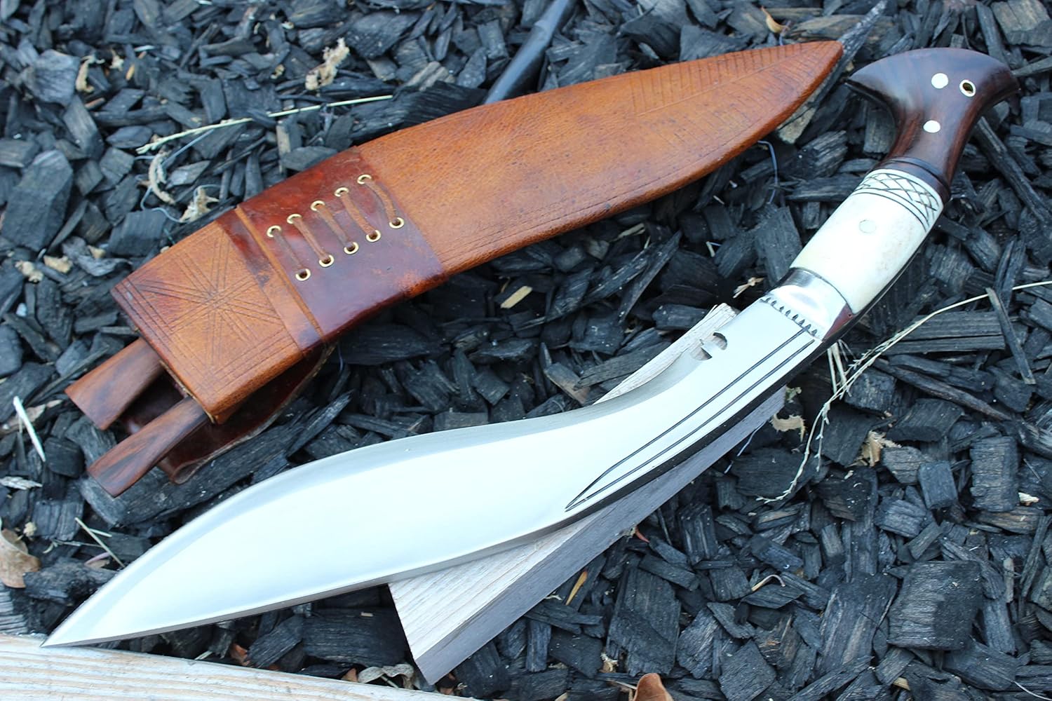 81Jg8e1nrLL._AC_SL1500_