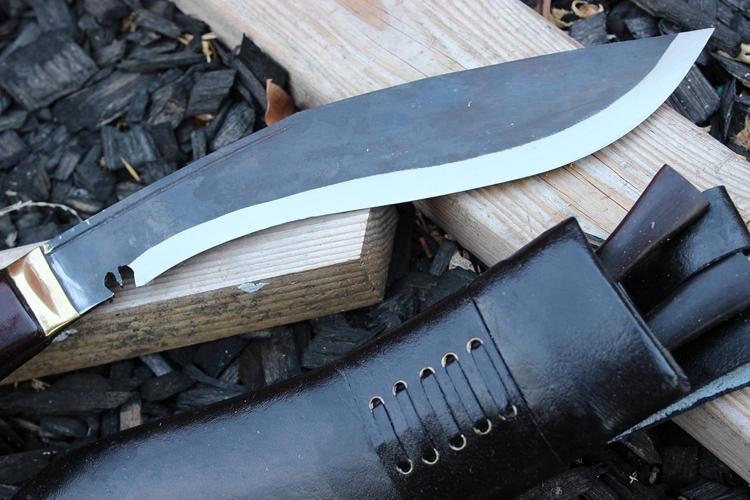 91ukLWR8ttL._AC_SL1500_