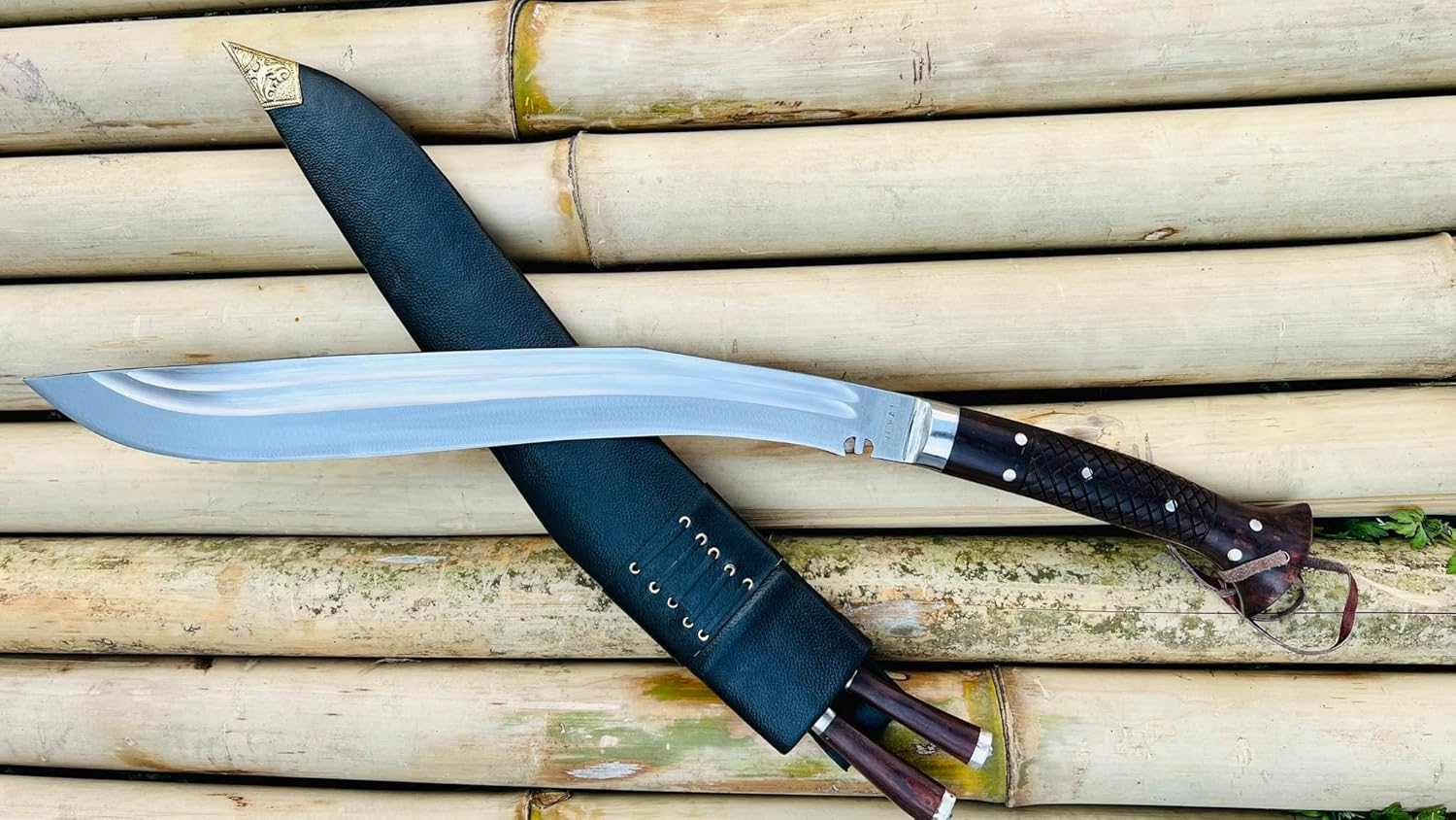 81QS7EyWBYL._AC_SL1500_