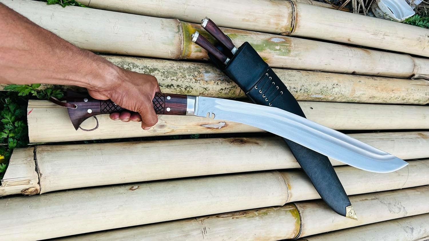 81kgFtkmqeL._AC_SL1500_