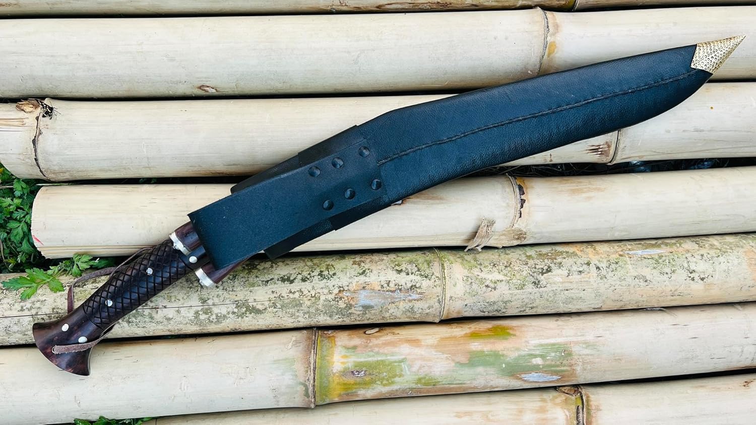 81r050xZEeL._AC_SL1500_