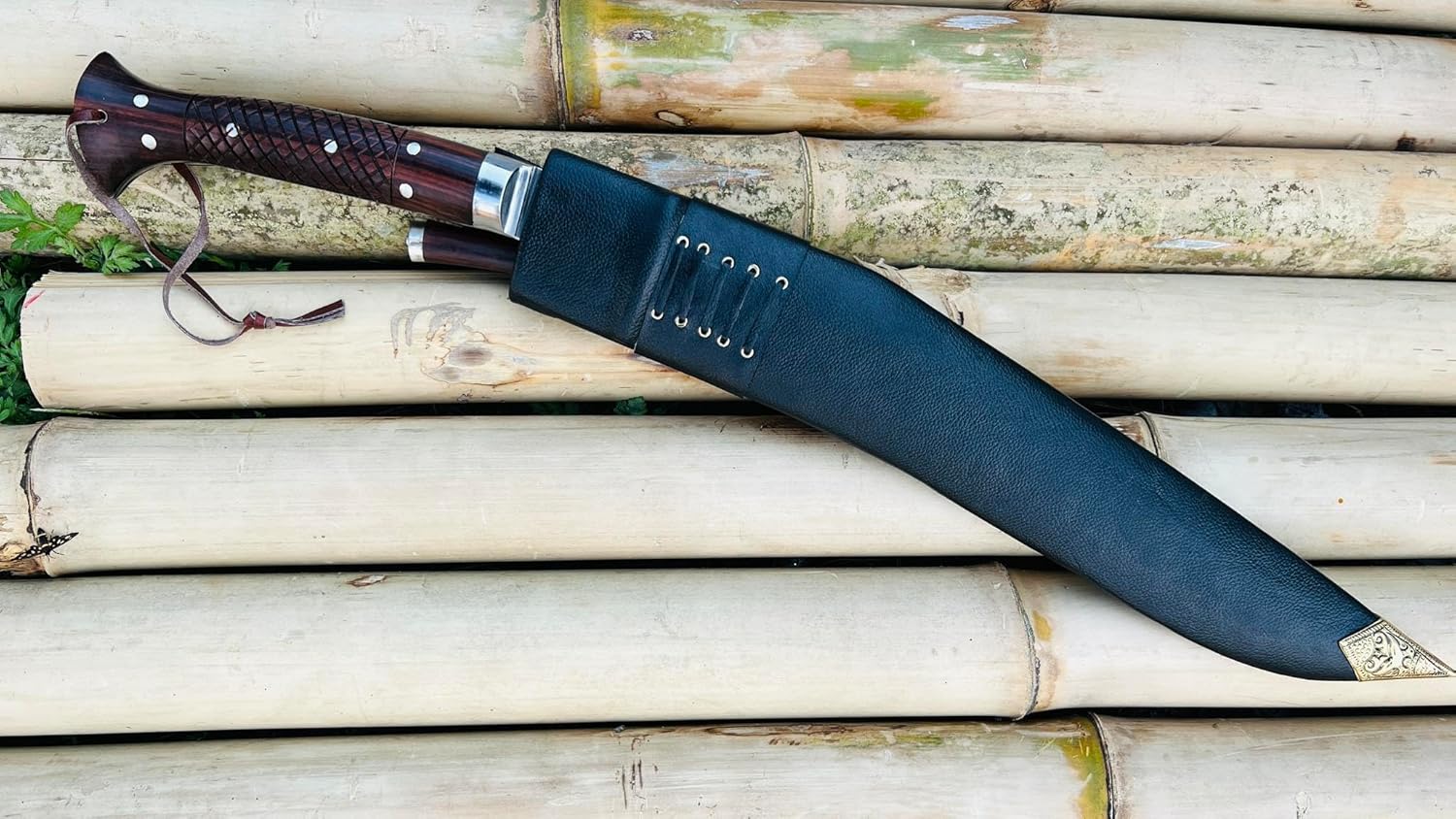 81tTsxqoNbL._AC_SL1500_